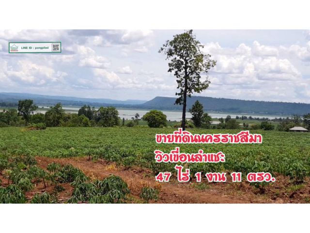 > ขายด่วน ที่ดินนครราชสีมา อ.ครบุรี วิวเขื่อนลำแชะ 47 ไร่เศษ