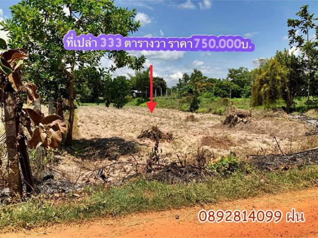ที่ดินแปลงสวย เนื้อที่เยอะ 333 ตรว.ราคาเพียง 750,000 เอกสารโฉนด