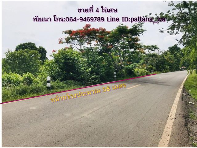 ขายที่ดินสวยๆ ติดถนนลาดยาง เหมาะทำบ้านสวน เนื้อที่ 4 ไร่เศษ