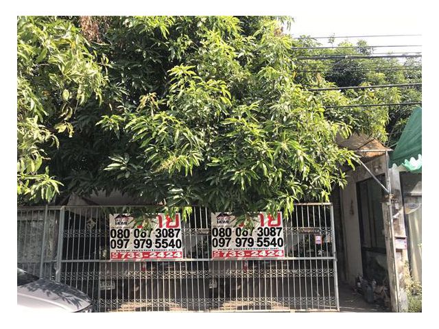 ขายบ้านเดี่ยวพร้อมที่ดิน ซอยรามคำแหง170แยก10 100 ตร.ว. 4 นอน 3 น้ำ เขตมีนบุรี ใกล้ห้างบิ๊กซี 05229