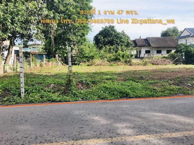 ขายที่แปลงเล็กๆ ในเขตเทศบาลเมืองปราจีนบุรี ที่ถมแล้ว ติดถนนลาดยาง เนื้อที่ 1 งาน 47 ตรว.