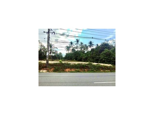 ขายที่ดินติดถนนเพชรเกษมวิวน้ำตกหงาว