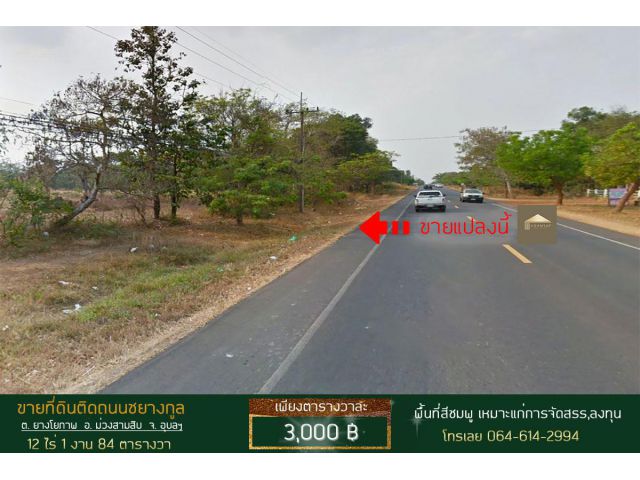 ขายที่ดิน 12 ไร่ ติดถนนชยางกูล ยางโยภาพ ม่วงสาบสิบ อุบลราชธานี