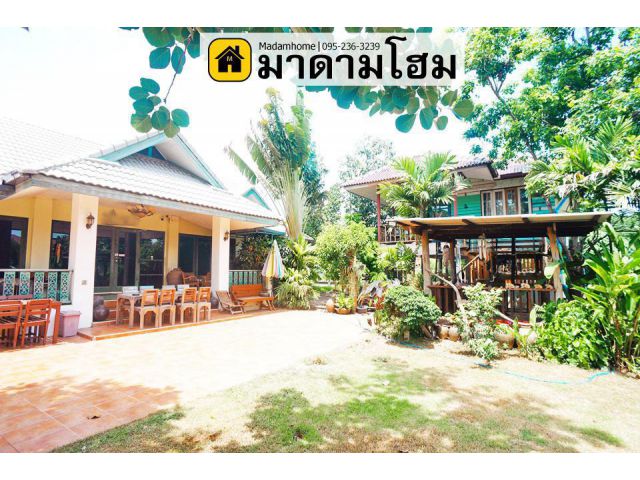 บ้านเดี่ยวอยุธยา หลังใหญ่ ในเกาะเมือง ราคาเกินคุ้ม พื้นที่เกือบไร่ โฉนดครุฑแดง ขายบ้านอยุธยา มาดามโฮม