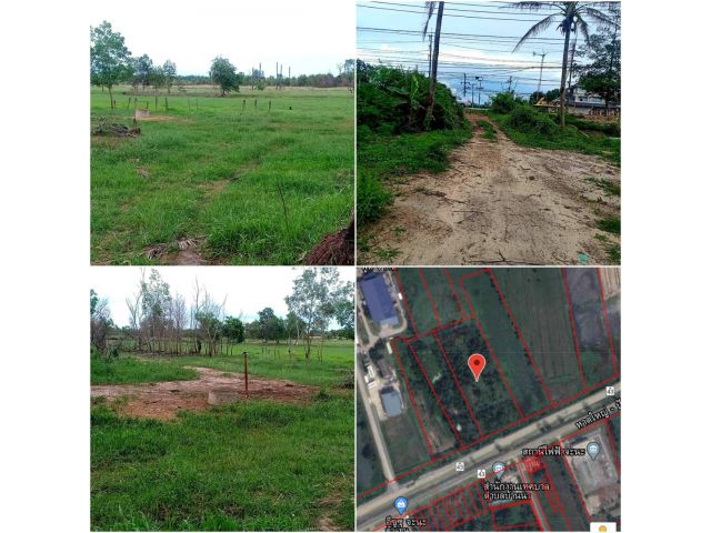 ขายที่ดินจะนะตรงข้ามเทศบาลบ้านนา