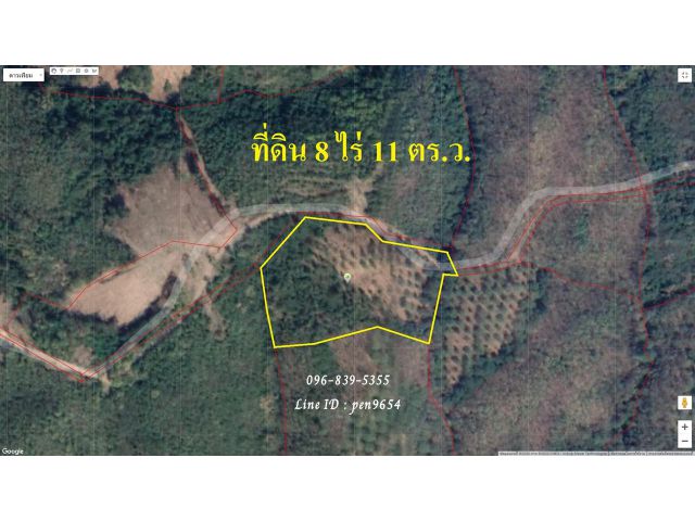 PH792 ขายด่วนสวนมะขามหวาน 8 ไร่ วิวเขาทุกด้าน