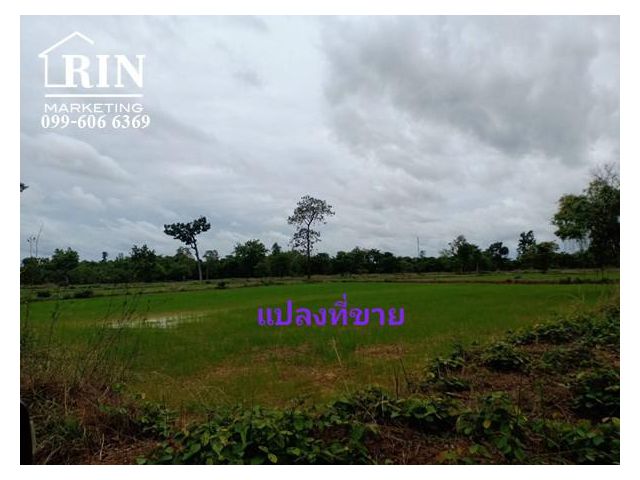 R017-027 ขายที่ดิน 6-2-83ไร่  ดอนจิก พิบูลมังสาหาร อุบลราชธานี 099-606 6369