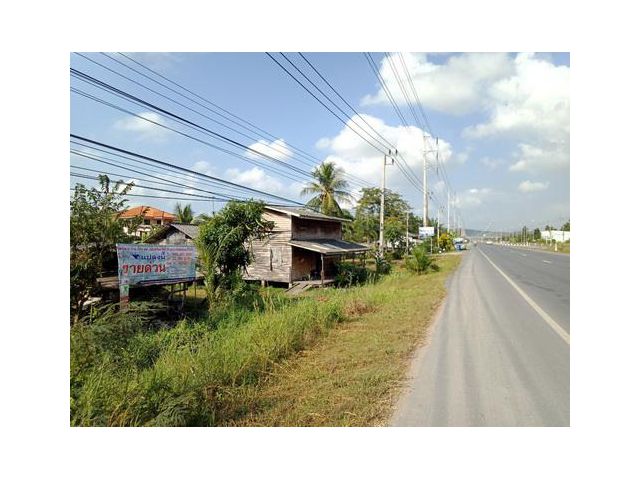 ที่ดิน 12-3-68ไร่ ต.ทรายขาว อ.หัวไทร จ.นครศรีฯ