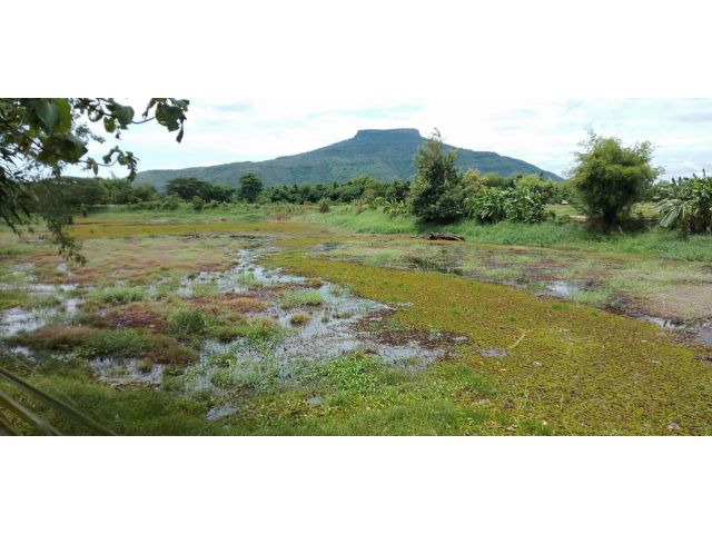 ขายที่ดินสำหรับทำบ้านสวนทำการเกษตร นส.3ก ประมาณ 13 ไร่ ติดอ่างเก็บน้ำ