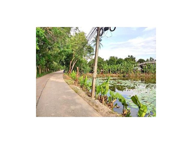 ขายที่ดิน 2 ไร่กว่า ซ.วัดศรีราษฎร์ เหมาะสร้างบ้าน