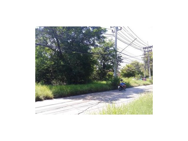 ขาย ที่ดิน เมืองเอก ถูกกว่าประเมิน 320 เหมาะบ้าน