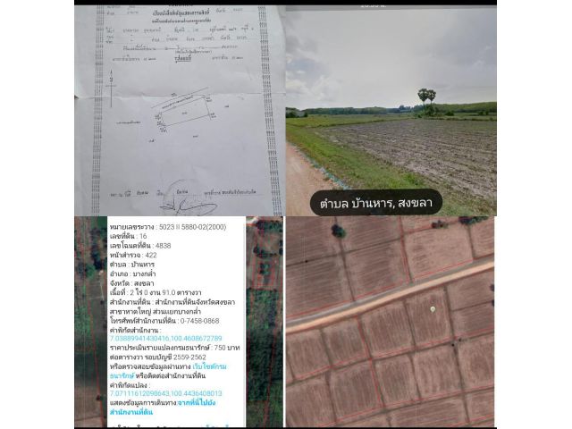 ขายที่ดินเปล่าบางกล่ำบ้านหาร 2 ไร่ 91 ตารางวาขาย 2 ล้าน 5 แสนบาท