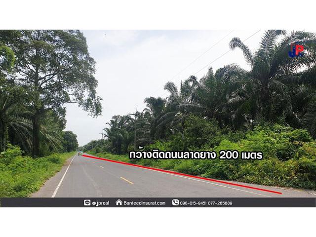 ขาย ที่ดิน 16ไร่เศษ ถ.ทุ่งใหญ่ สุราษฎร์ธานี