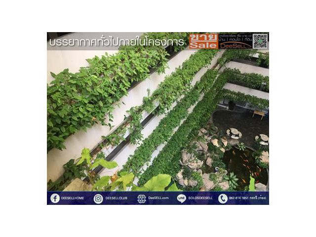 ขายห้องวิวสวน 1นอน ราชปรารภการ์เด้น พญาไท ลานจอดรถ