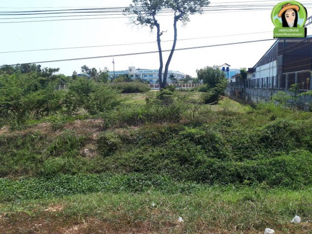 ที่ดินเปล่า/ทำเลทอง/ติดถนนเลี่ยงเมืองตรงข้ามสารินโนว่า