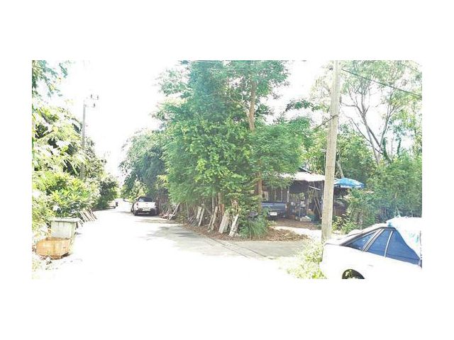 ขายที่ดินเปล่า ซ.เลี่ยงเมือง ปากเกร็ด9 อ.ปากเกร็ด นนทบุรี แปลงมุมใน 05353