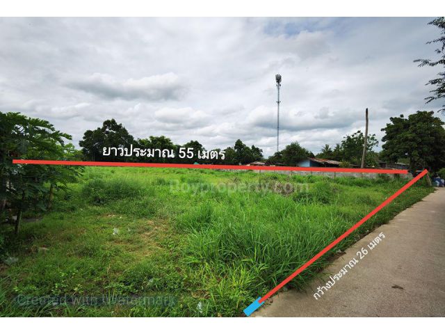 ขายที่ดินเปล่าพัทยาตำบลหนองปรือ หนองไม้แก่น16
