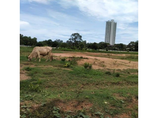 ที่ดินใกล้ทะเลราคาถูก