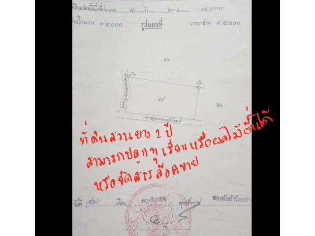 ที่ดินราคาถูก