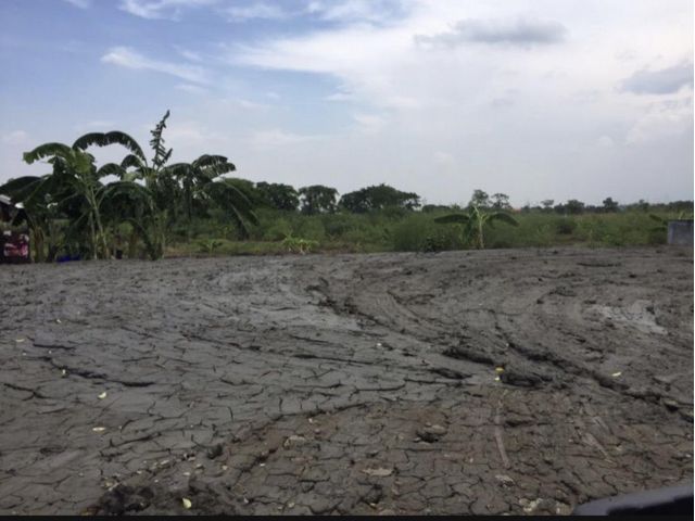 ขายที่ดิน ร่มเกล้า5 (ออมทรัพย์) เนื้อที่ 80 ตารารางวา