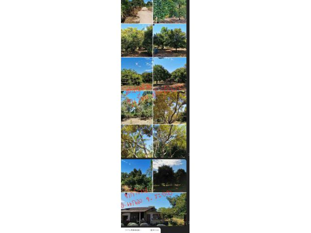 สวนผสม ราคาถูก ใกล้เมือง