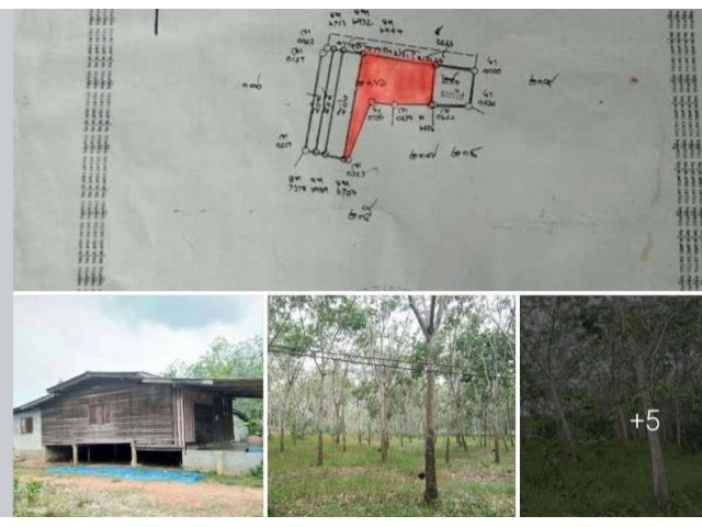 ที่ดินสวนยาง