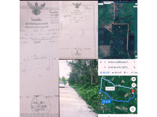 ขายที่ดินสวนยางพังลา 34 ไร่ 60 ตารางวาขายไร่ละ 300,000 บาท