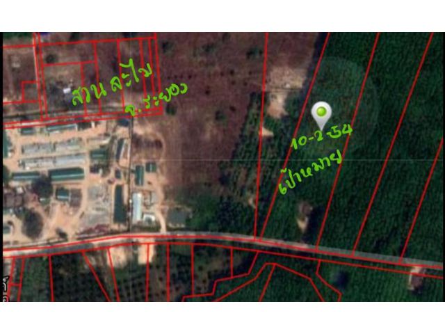 ที่ดินติดถนนลาดยาว ติดสวนละไม ป่ายุบใน จ.ระยอง