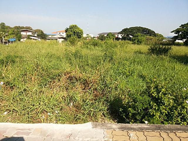 ขายที่ดิน 5-3-20 ไร่ติดถนนเฉลิมพระเกียรติ67 ใกล้สวนหลวงร.9 ถนนศรีนครินทร์ และถนนอ่อนนุช ถนนพัฒนาการ และถนนวงแหวนรอบนอกก