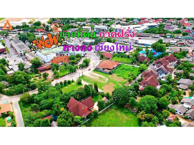 ขายที่ดิน บริเวณกาดฝรั่ง ตำบลบ้านแหวน อำเภอหางดง จังหวัดเชียงใหม่