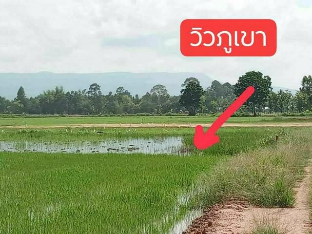 ขายที่ดิน1ไร่โฉนดครุดแดง 400,000 วิวเขา