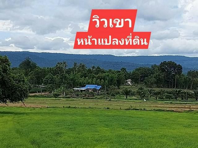 ขายที่นา 2ไร่2งาน ที่วิวเขา+ติดคลอง