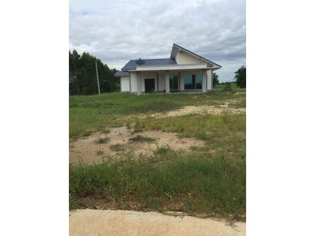 บ้านปลูกใหม่ด้วยวัสดุเกรดเอได้มาตราฐาน ตกแต่งบิวอินท์ภายในเรียบร้อย ประกอบด้วย 5 นอน 4 น้ำ