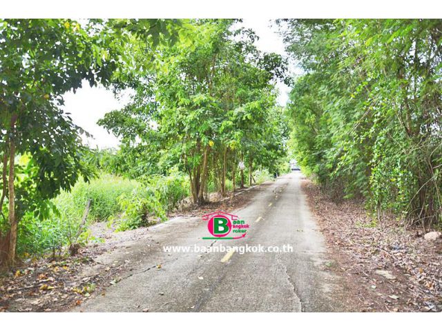 ที่ดินเปล่า โครงการ การเคหะการเกษตร เนื้อที่ 340 ตรว. ถนนวงเเหวนกาญจนาภิเษก บางบัวทอง นนทบุรี