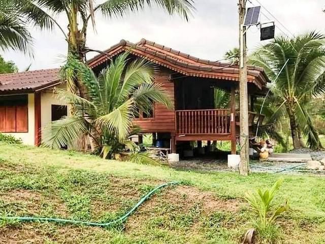 ขายที่สวน 3 ไร่ ต.ศรีกะอาง อ.บ้านนา นครนายก