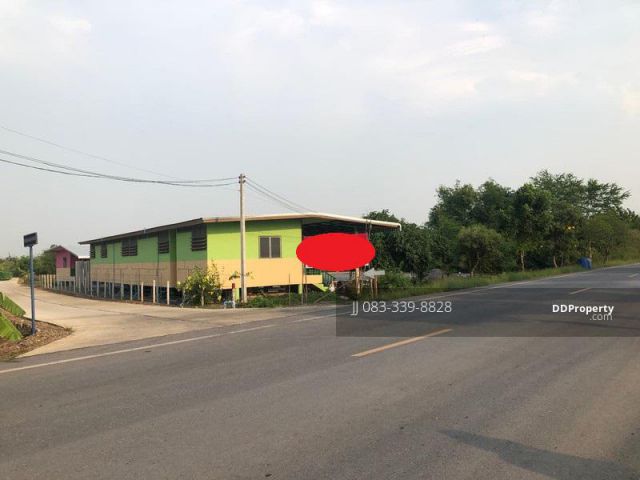 ขายที่ดิน บ้านปทุม สามโคก ถนนถั่วทอง 12. 5 ไร่