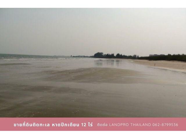 ขายที่ดินติดหาดปึกเตียน ติดทะเล