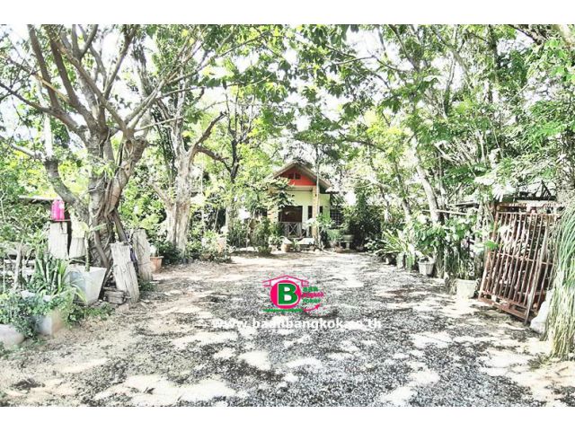 ที่ดินพร้อมบ้านเดี่ยว 1 ชั้น+เรือนรับรอง 1 หลัง ซ.เปี่ยมรัก-หนองจอก ซ.2 เนื้อที่ 709 ตรว. จ.สระบุรี
