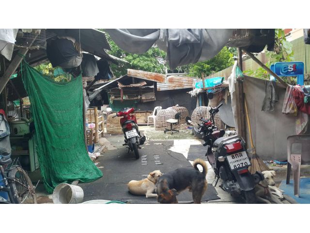 ขายที่ดิน 75 ตรว. ซ.วัดทองเพลง เจริญนคร14