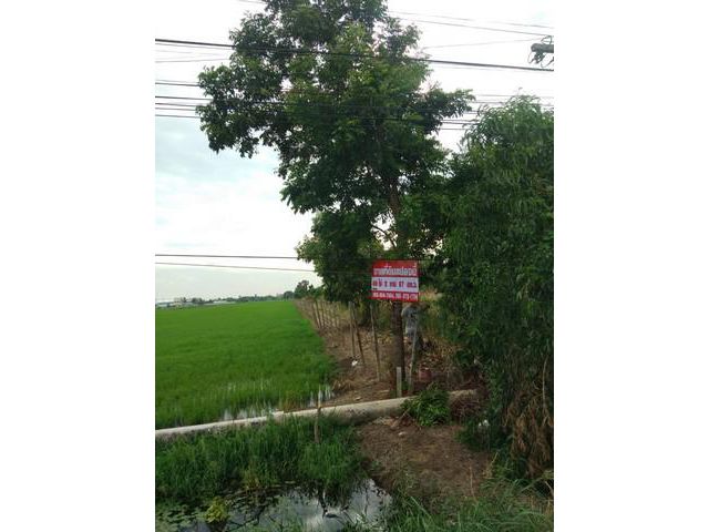 ขายที่ดิน 49-2-67 ไร่ คลองสี่ติดถนน2 ฝั่ง ปทุมธานี