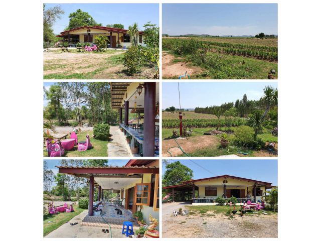 บ้านพร้อมที่ดินราคาถูก เนื้อที่ 6ไร่ 1งานกว่าๆ ขายเหมาที่ 2,690,000 บาท