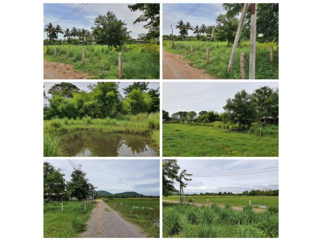 ที่สวนปลูกต้นไม้ไว้เต็มพื้นที่ มีบ่อน้ำ เนื้อที่ 200 ตรว.ที่โฉนด น้ำไฟพร้อม  ราคา 390,000 บาท