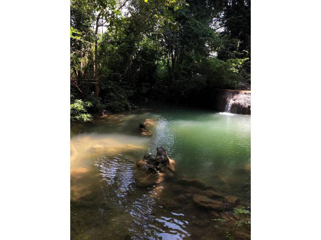 7).ขายที่ดินเปล่าเขาใหญ่ 110 ไร่สวยมากครับ เพิ่งเคลียริ่งต้นไม้แปลง ติดน้ำตก ใกล้รีสอร์ท คีรีมายา