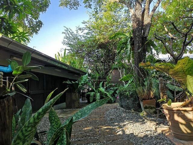 ขายที่ดิน 100 ตรว. ตกแต่งสวนสวย อยู่ซอยนาคนิวาส 37 หน้าที่ดินหันไปทางทิศเหนือ เงียบสงบ เหมาะสร้างบ้าน