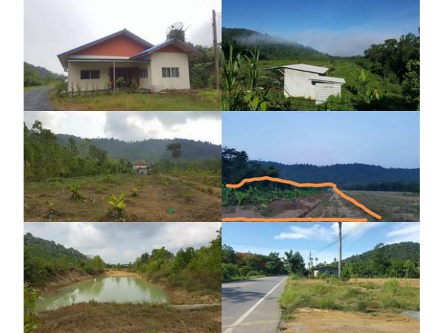 เสนอขายที่ดินเปล่าพร้อมบ้าน ติดถนนลาดยาง  ใกล้ทุ่งเพล  เนื้อที่ 9 ไร่ ปัถวี มะขาม จันทบุรี