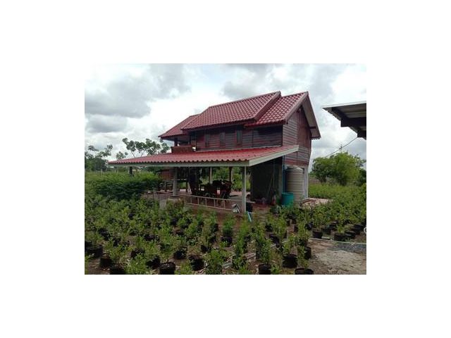 ขายที่ดินพร้อมบ้าน องค์รักษ์ คลอง 16 นื้อที่ 1 ไร่
