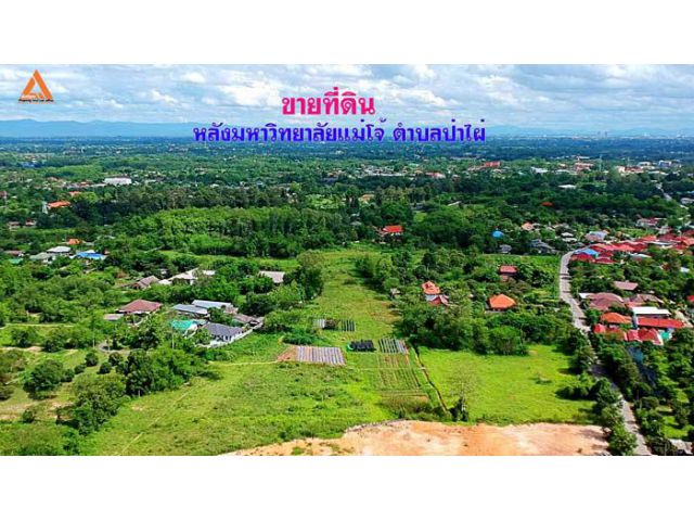 ขายที่ดิน หลังมหาวิทยาลัยแม่โจ้ ตำบลป่าไผ่ อำเภอสันทราย จังหวัดเชียงใหม่