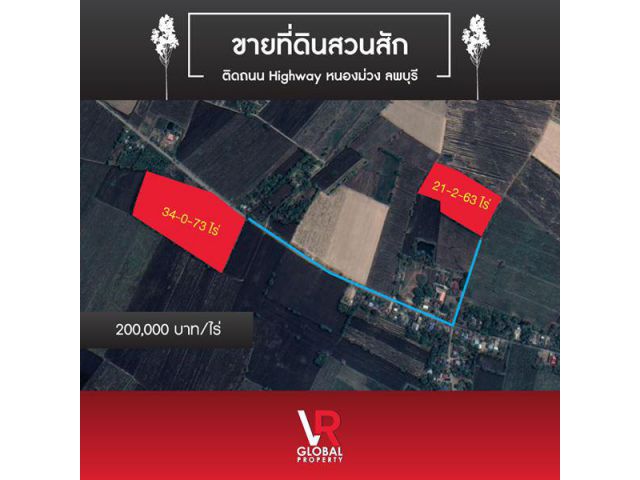 ที่ดินสวนสัก หนองม่วง จ.ลพบุรี ติดถนน Highway 2 แปลง รวม 55-2-36 ไร่