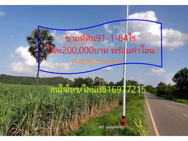 ขายที่ดิน91-1-84ไร่ๆละ200,000บาท พร้อมค่าโอน ติดลาดยาง ไฟฟ้า ประปา บ่อน้ำและบ่อบาดาล3
