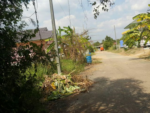 ขายที่ดิน 4ไร่ ราคาไร่ละ1ล้านบาท ใกล้เกตเวย์ รร.หนองแหน ใกล้เชเว่น